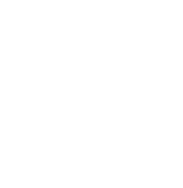 Intro